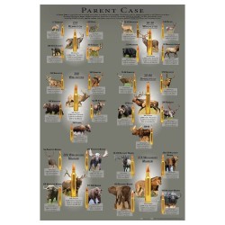 Parent Case - Cartridge Poster